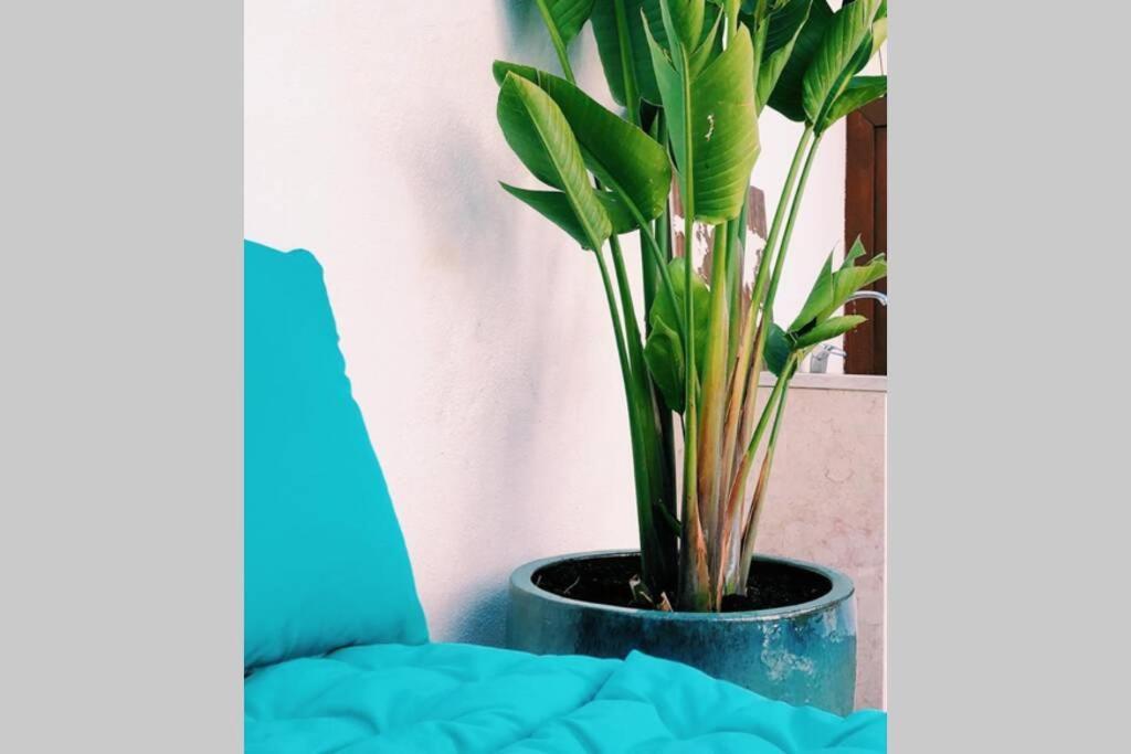 Estrela 21- With Private Pool * Lissabon
